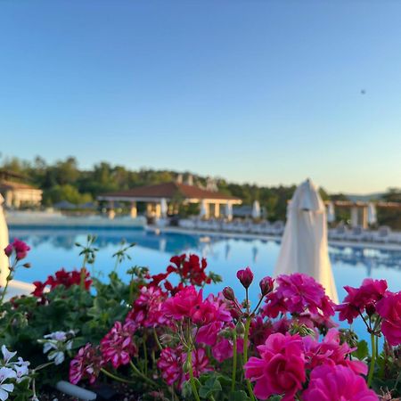 Sm Lovely Apartments On The First Line In سوزوبول المظهر الخارجي الصورة